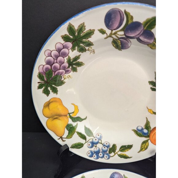 Tabletops Unlimited Stoneware Essence Rimmed Soup Bowl Fruit Pattern Set of 2 - Picture 3 of 6
